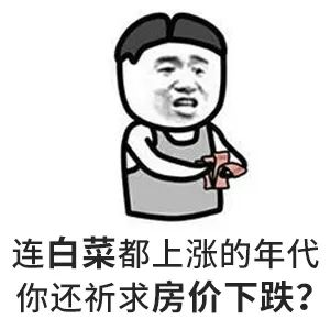 請(qǐng)給我一個(gè)房?jī)r(jià)會(huì)跌的理由？水泥漲價(jià)10%-15%，木材漲15%-30%...唯獨(dú)到手的錢(qián)少了，此時(shí)不買(mǎi)房，更待何時(shí)？
