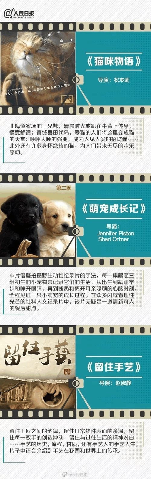 人民日報推薦！小長假陪孩子看這些紀錄片，勝過出門玩五天