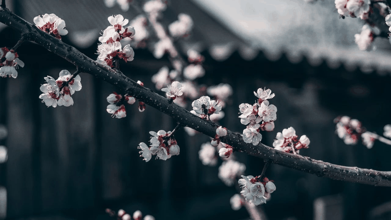 他山之石：讓你受益一生的事