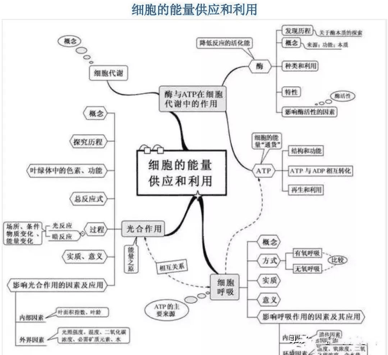 高中生這樣進(jìn)行課后復(fù)習(xí)比聽課都重要，您孩子做到了嗎？