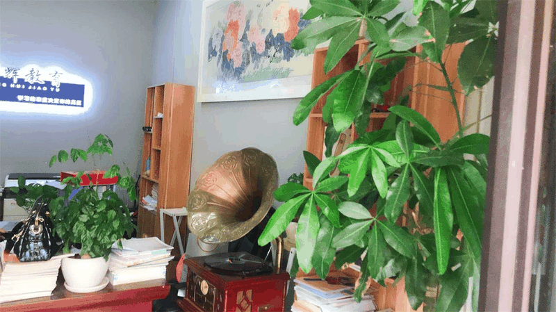 百年教育強(qiáng)勢進(jìn)駐云陽，著力打造教育培訓(xùn)事業(yè)新高地！