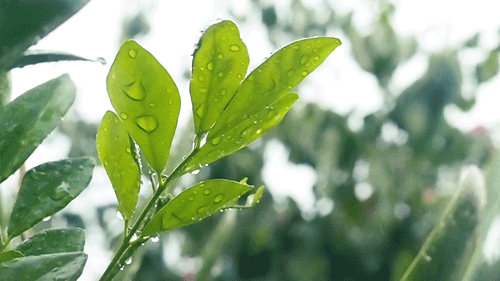 寫給即將中考的你：最后一段，愿你穩(wěn)穩(wěn)地幸福！
